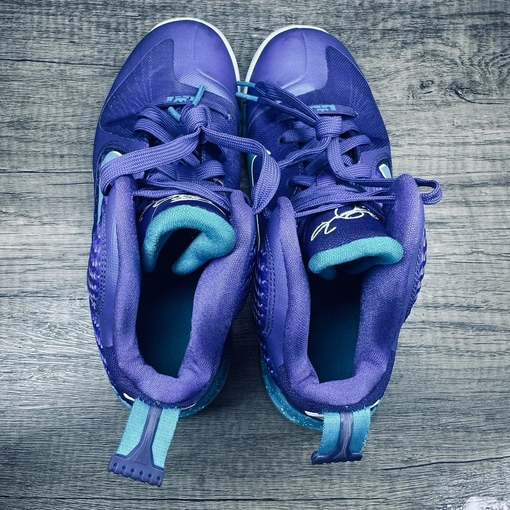Nike~Boys~Lebron 9 Hornets Purple/Blue Summit Lake 2012 Sneakers~Size 4.5Y‎